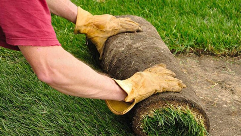 Climate Impacts Lawn Installation