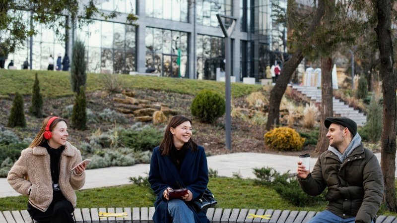 Lawn Installation Choices in Urban Environments